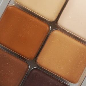Couleurs Cannom PM RMGP